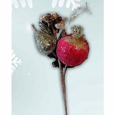 ΚΛΑΔΙ ΡΟΔΙ ΑΧΛΑΔΙ ΚΟΚΚΙΝΟ ΜΠΟΡΝΤΩ