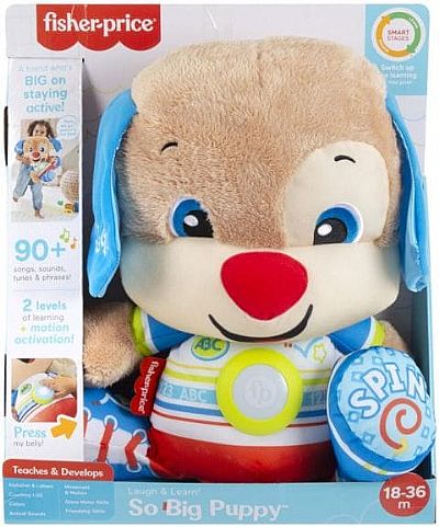 Mattel Μεγάλο Εκπαιδευτικό Σκυλάκι Smart Stages Hcj16